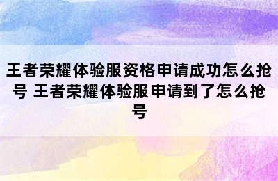 王者荣耀体验服资格申请成功怎么抢号 王者荣耀体验服申请到了怎么抢号